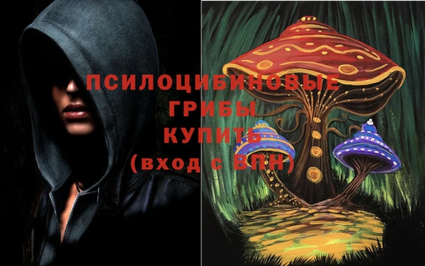 экстази Новозыбков
