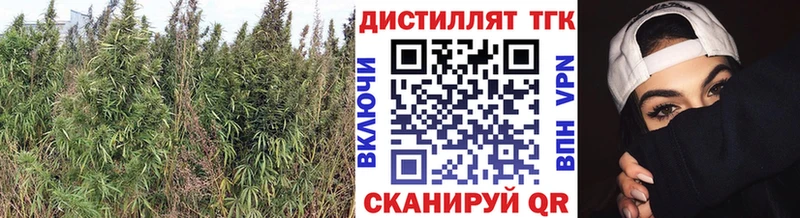 Дистиллят ТГК Wax  Невинномысск 