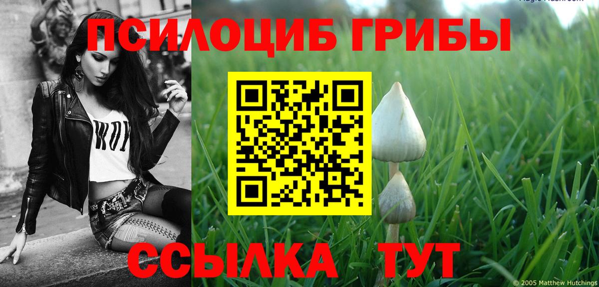 Галлюциногенные грибы мухоморы Невинномысск